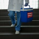 Organ donation