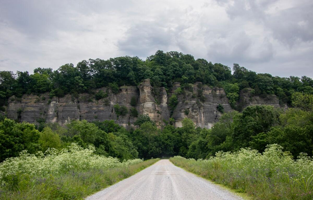 A 300-foot limestone bluff at Inspiration Point in the Shawnee National Forest. (Medill Illinois News Bureau photo by Sonya Dymova)
