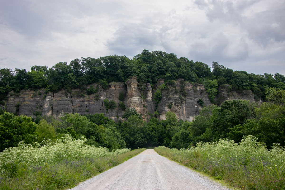 A 300-foot limestone bluff at Inspiration Point in the Shawnee National Forest. (Medill Illinois News Bureau photo by Sonya Dymova)