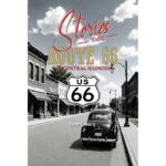Cover of "Stories from Route 66 in Central Illinois"