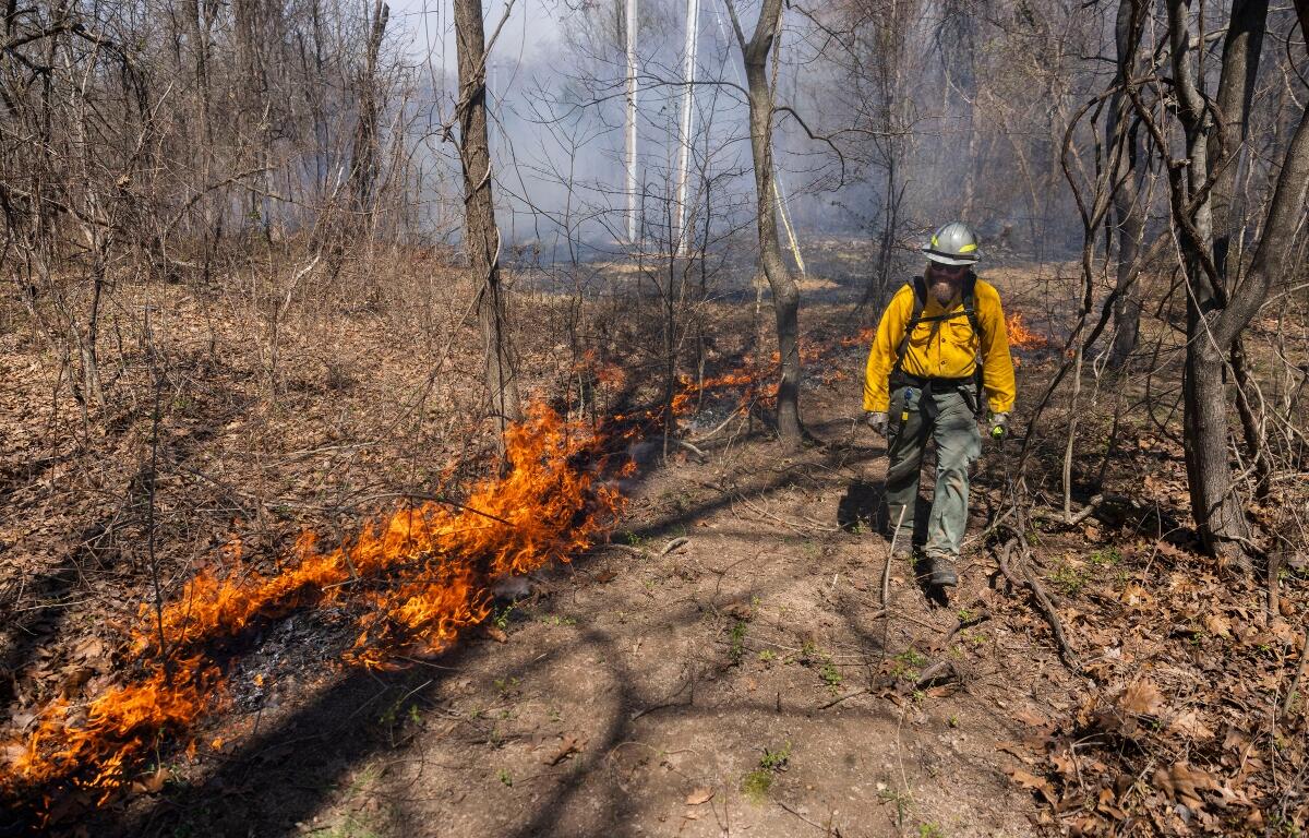 Nathan Speagle walks along the edge of a burn unit as he and other members of The Nature Conservancy’s Illinois Chapter control burn portions of the Shawnee March 25, 2026, in Makanda, Illinois. (Lylee Gibbs for the Saluki Local Reporting Lab)
