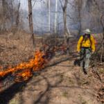Nathan Speagle walks along the edge of a burn unit as he and other members of The Nature Conservancy’s Illinois Chapter control burn portions of the Shawnee March 25, 2026, in Makanda, Illinois. (Lylee Gibbs for the Saluki Local Reporting Lab)