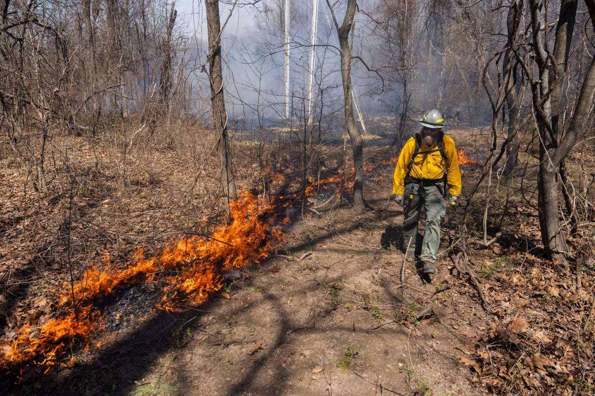 Nathan Speagle walks along the edge of a burn unit as he and other members of The Nature Conservancy’s Illinois Chapter control burn portions of the Shawnee March 25, 2026, in Makanda, Illinois. (Lylee Gibbs for the Saluki Local Reporting Lab)