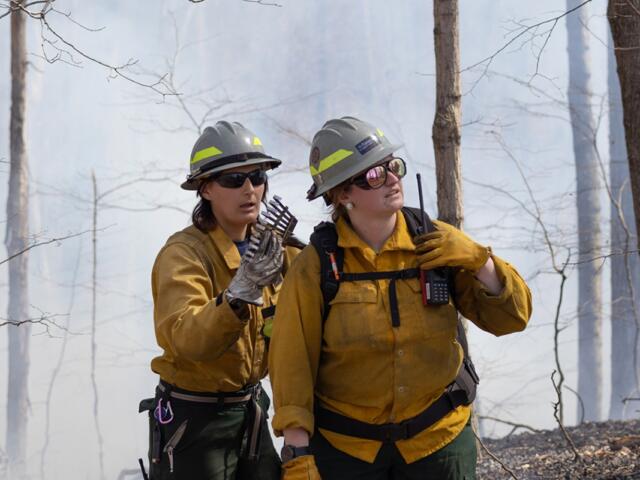 Left: SIPBA members unload a UTV March 20, 2026, during an interagency burn in Golconda, Illinois. Members pay $50 annually and are required to participate in one burn. In exchange, their land is also burned. Right: Pen Johnson secures a rake on Meredith Brown’s backpack March 20, 2026, during an interagency burn in Golconda, Illinois. Johnson and Brown are members of the Illinois chapter of The Nature Conservancy, a global residency program that aims to conserve lands and waters. (Photos by Carly Gist for the Saluki Local Reporting Lab)