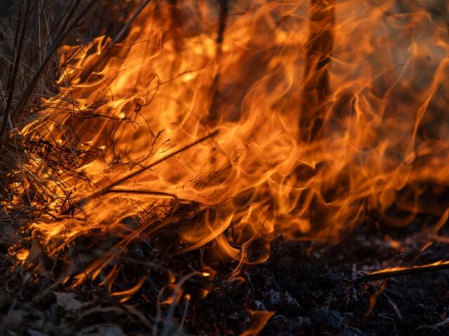 Left: Pen Johnson, Piper Morris and Danielle Cafin stand together as they take a break from preparing a burn unit March 16, 2026, at Trail of Tears State Forest in Jonesboro, Illinois. Right: Fire burns through a burn unit near Giant City Lodge as The Nature Conservancy’s Illinois Chapter burns along with IDNR and other organizations March 25, 2026, in Makanda, Illinois. (Lylee Gibbs for the Saluki Local Reporting Lab)