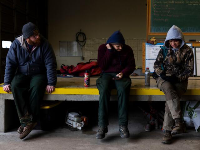 Patrick Monaco, Pen Johnson and Piper Morris look at the fire forecast on their phones before heading to a burn unit early in the morning at their office March 16, 2026, in Carterville, Illinois. (Lylee Gibbs for the Saluki Local Reporting Lab)
