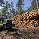 Logging equipment and a pile of felled trees sits less than a mile from the Burke Branch area of the Shawnee, which stands to lose federal protections from new road construction and timber harvesting under a proposal from the Trump administration. (Kate McCann, for Capitol News Illinois)