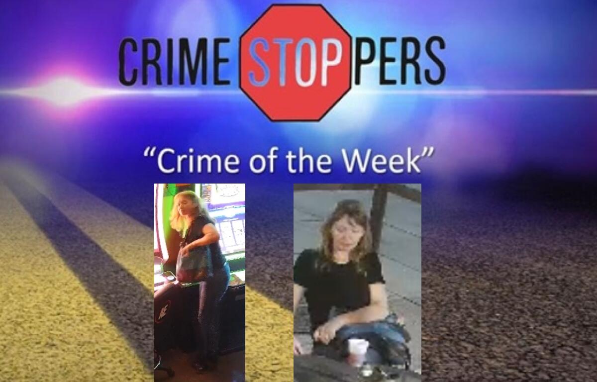 This person is suspected of stealing a wallet and putting it in a large purse.