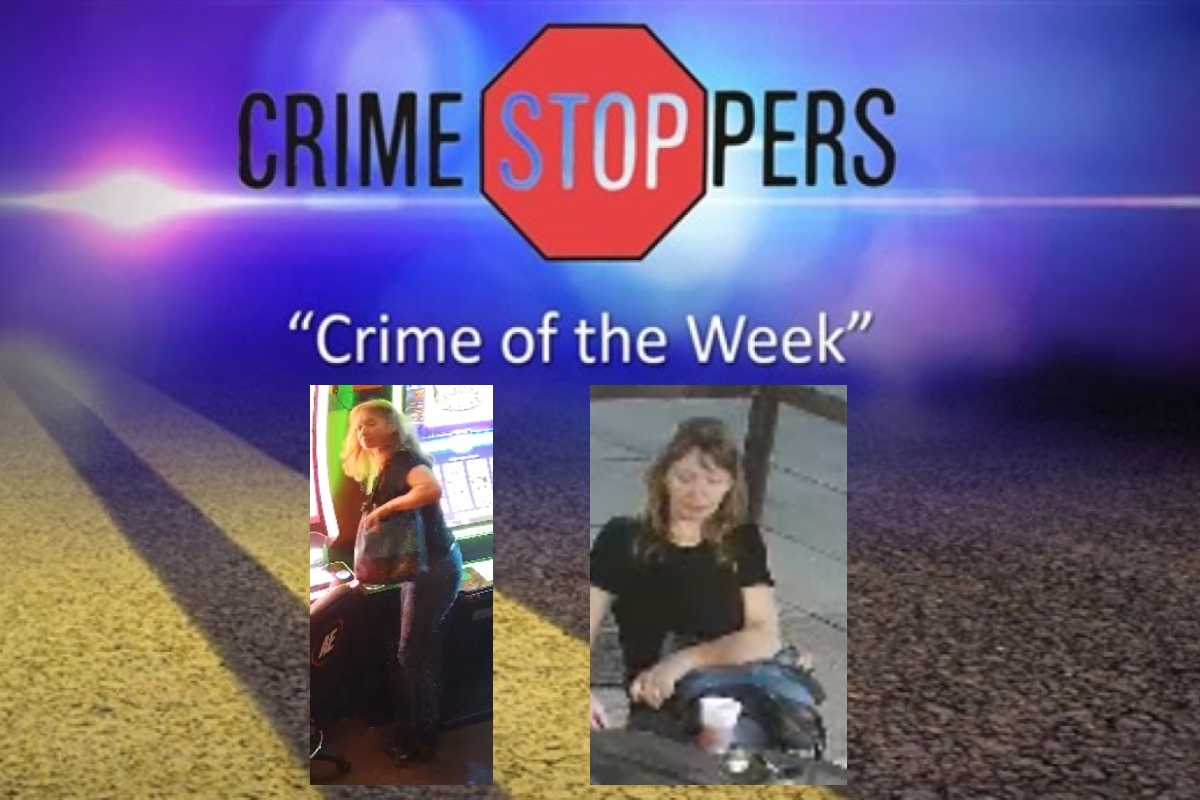 This person is suspected of stealing a wallet and putting it in a large purse.