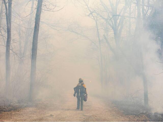Fire fellow Piper Morris walks through a thick cloud of smoke as she and other members of The Nature Conservancy begin a burn unit March 25, 2026, at Giant City Lodge in Makanda, Illinois. (Lylee Gibbs for the Saluki Local Reporting Lab)