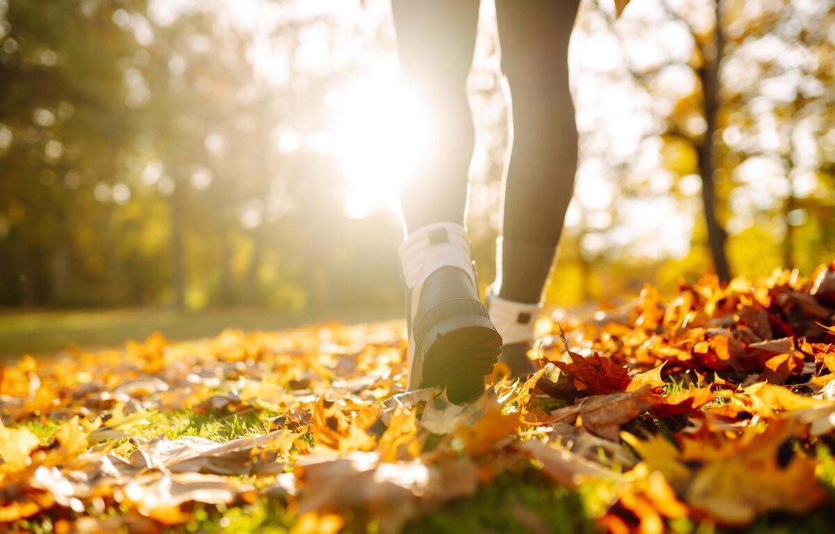 Walking or hiking in the fall.