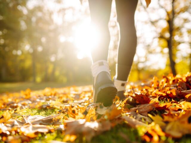 Walking or hiking in the fall.
