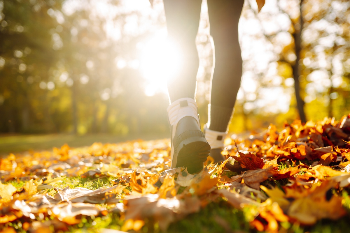 Walking or hiking in the fall.