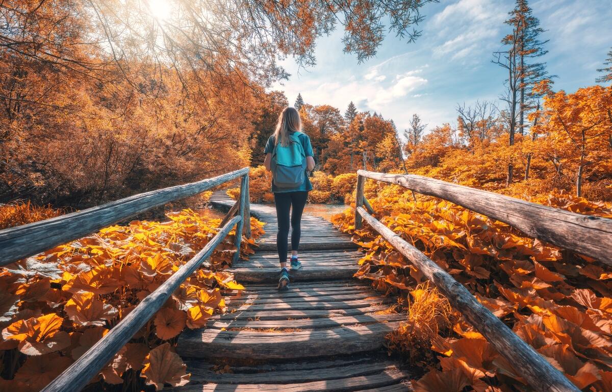 fall walk