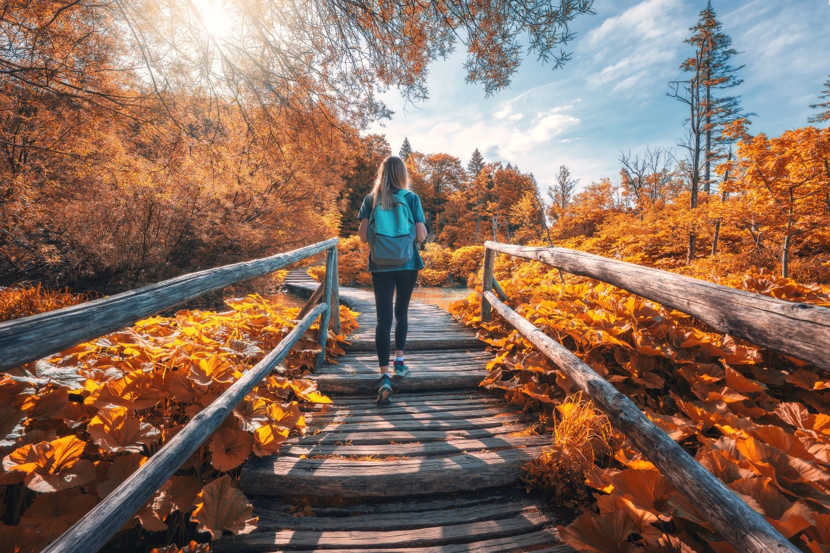 fall walk