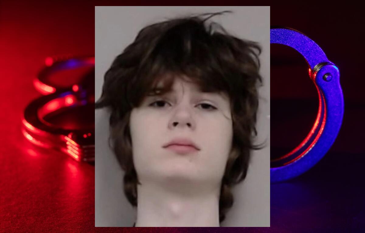 This booking photo provided by the Palatine Police Department on Thursday, Oct. 15, 2026, shows Alexandros Paporakis. (Palatine Police Department via AP)