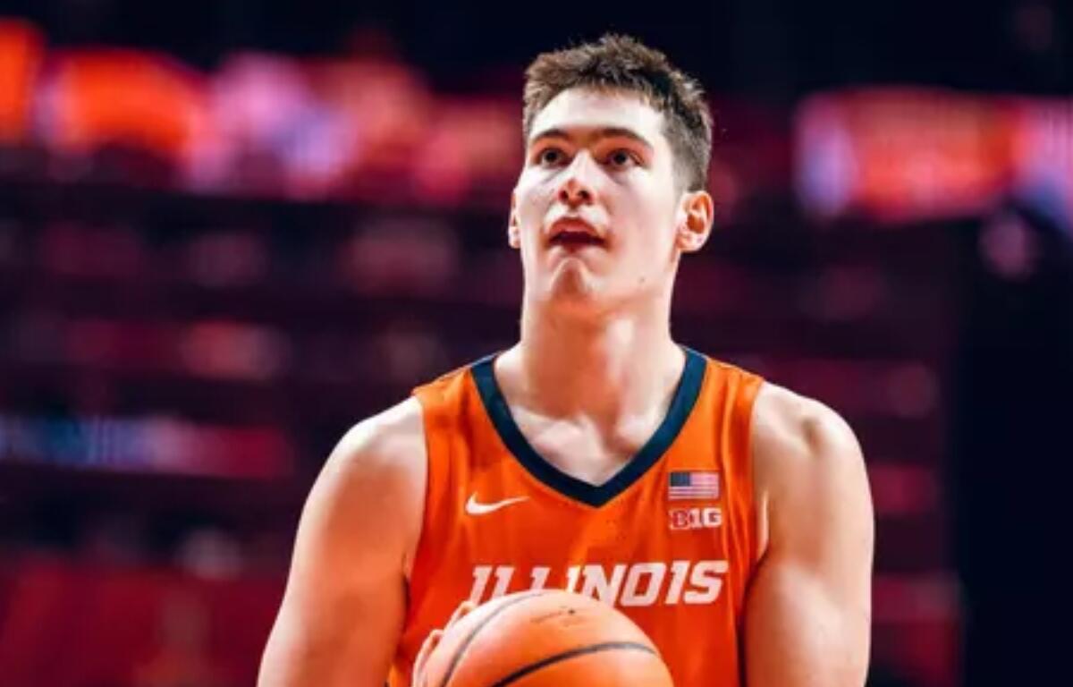 David Mirkovic, Fighting Illini Player