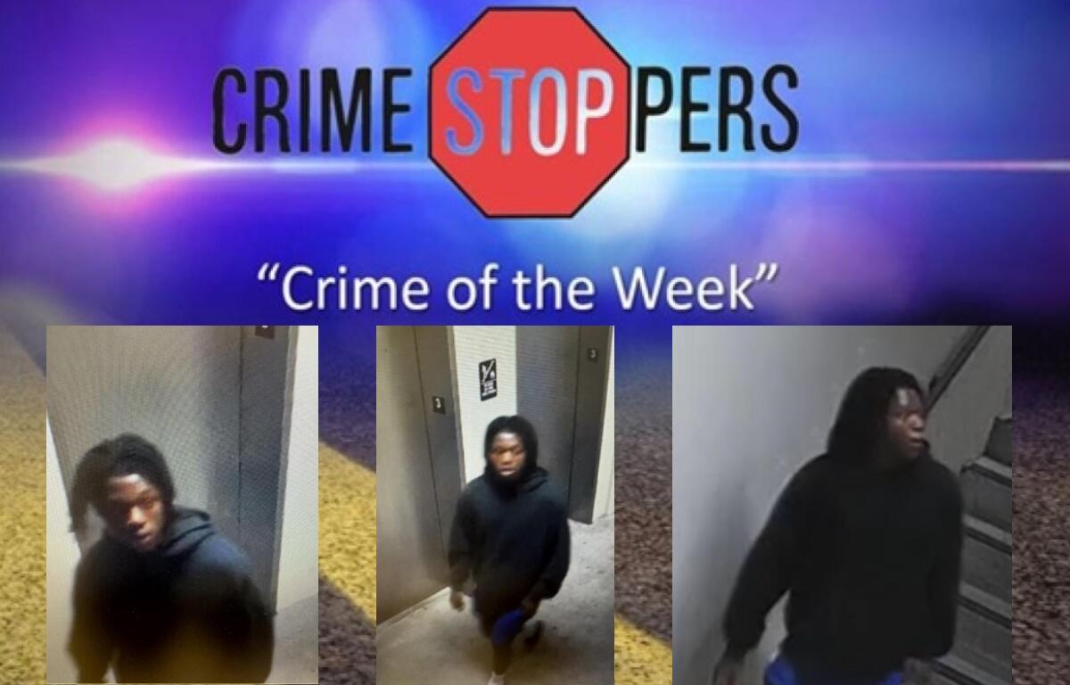 This man allegedly broke into cars at the Springfield Memorial Hospital Physicians' Parking Garage September 9, 2026.