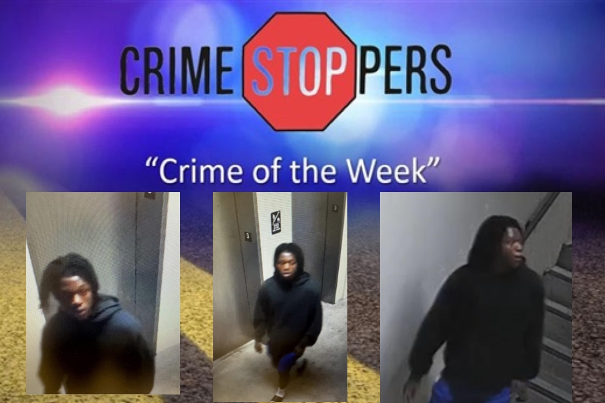This man allegedly broke into cars at the Springfield Memorial Hospital Physicians' Parking Garage September 9, 2026.